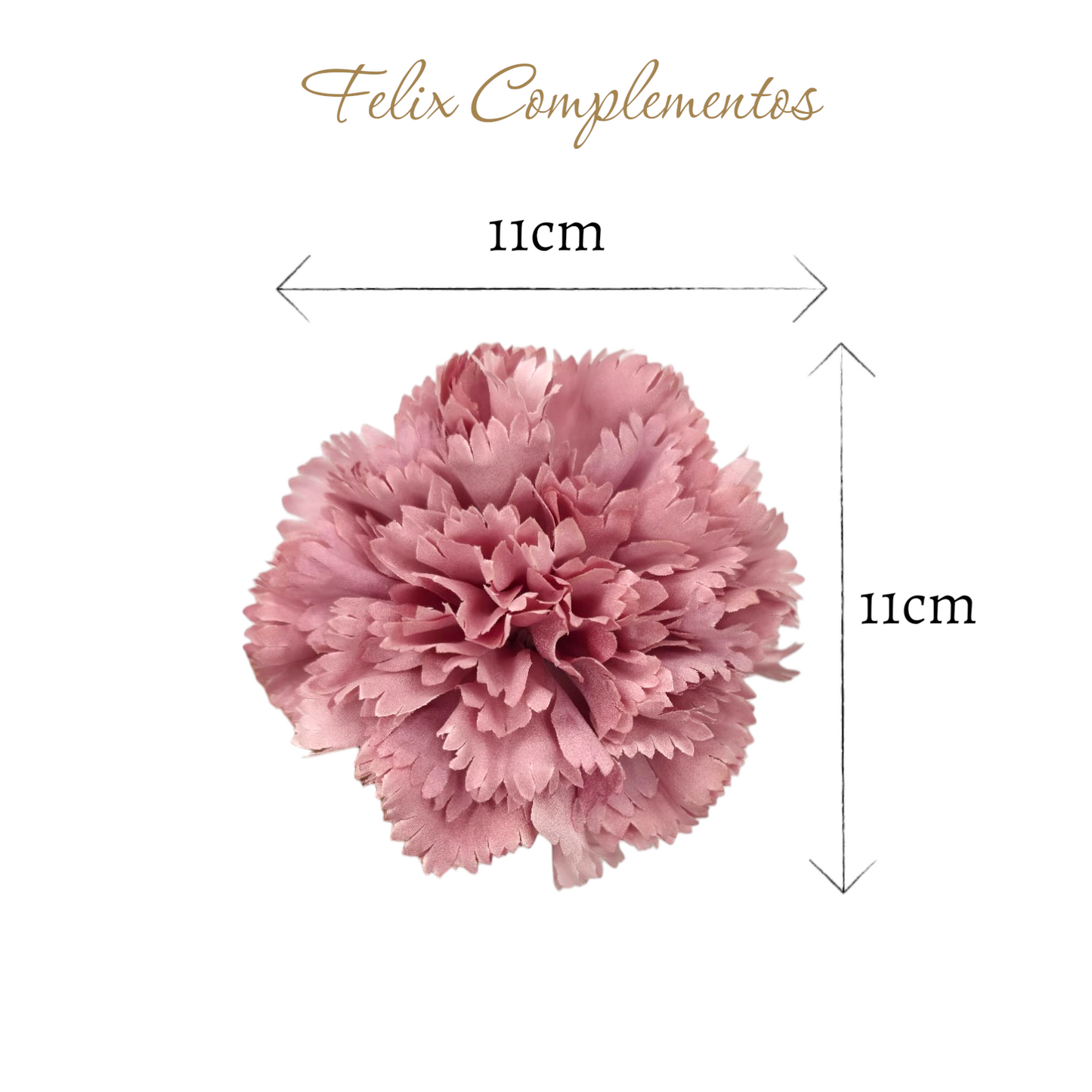 Clavel Rosa