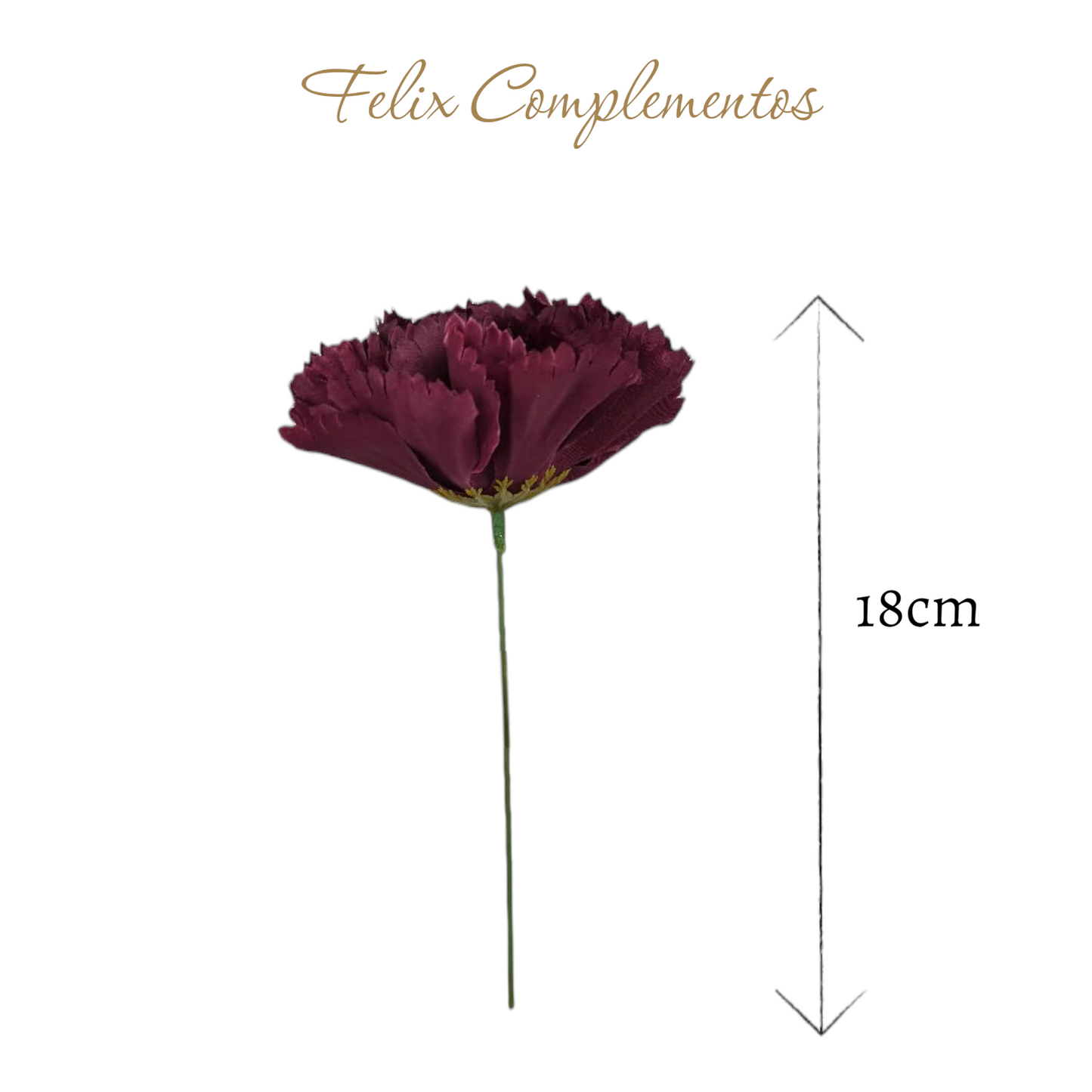 Clavel Morado ciruela