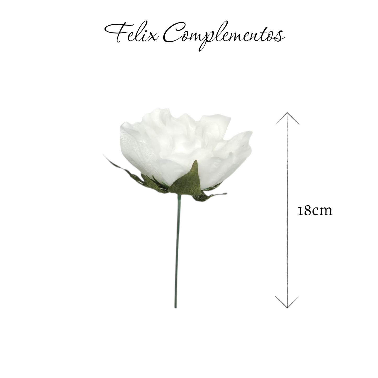 Peonia blanco