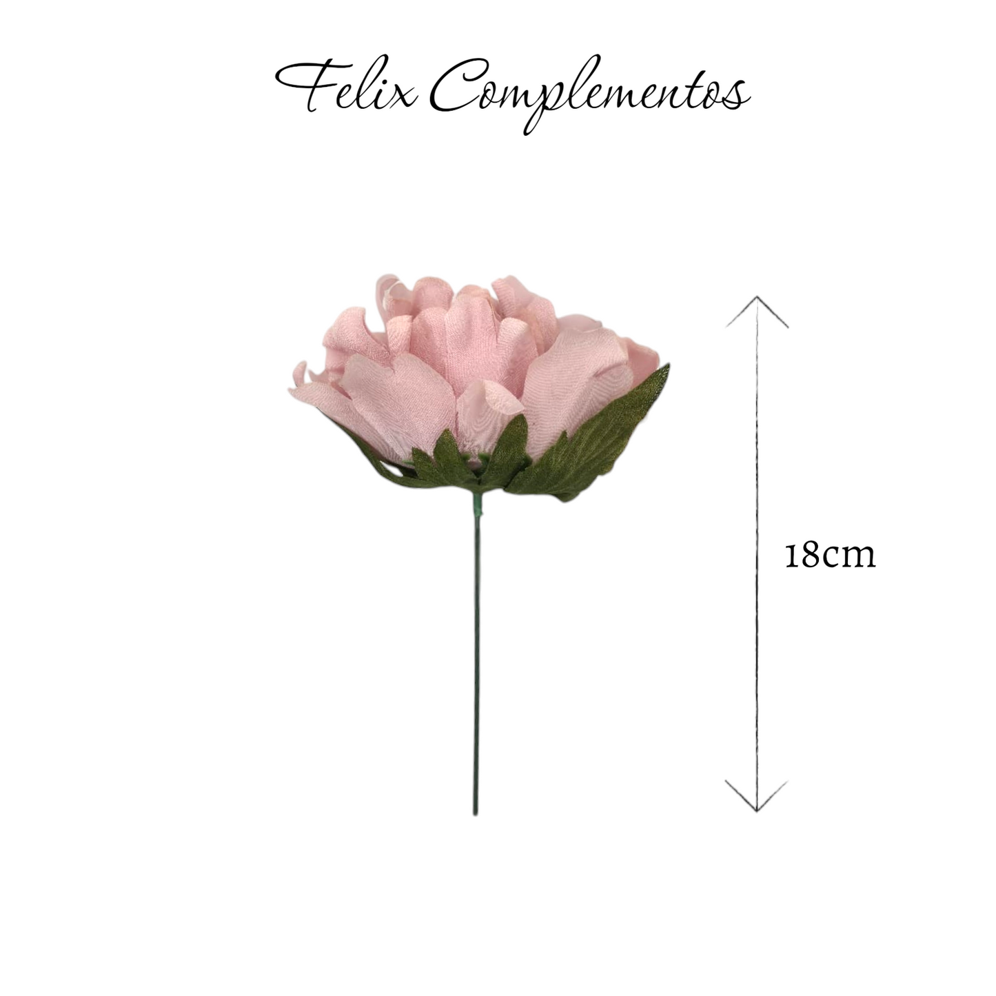 Peonia rosa crepe