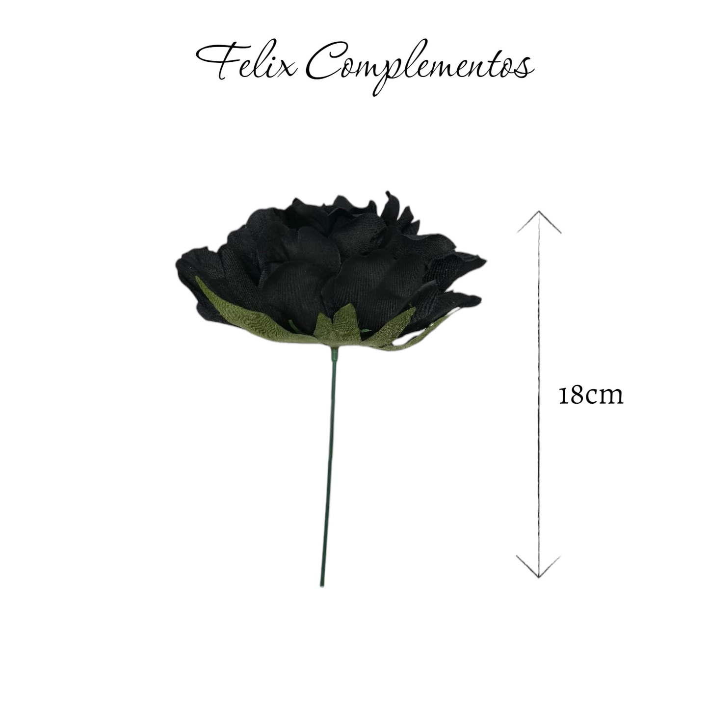 Peonia negro