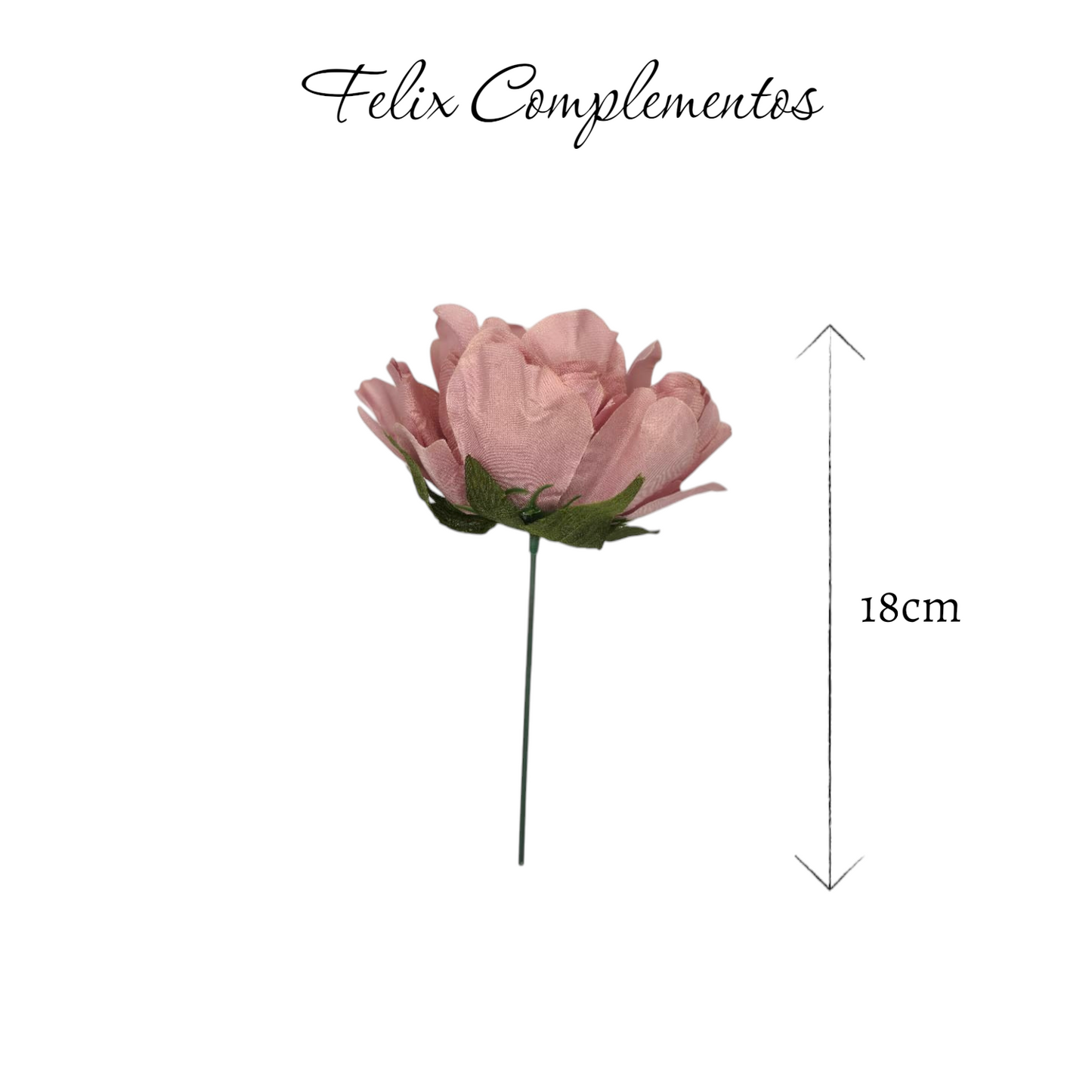 Peonia rosa empolvado