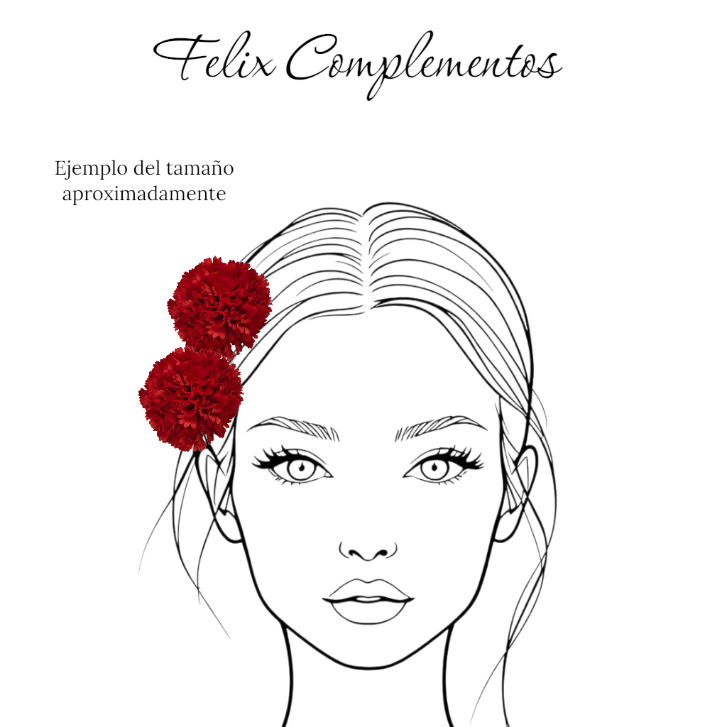 Ramillete rojo 2 claveles