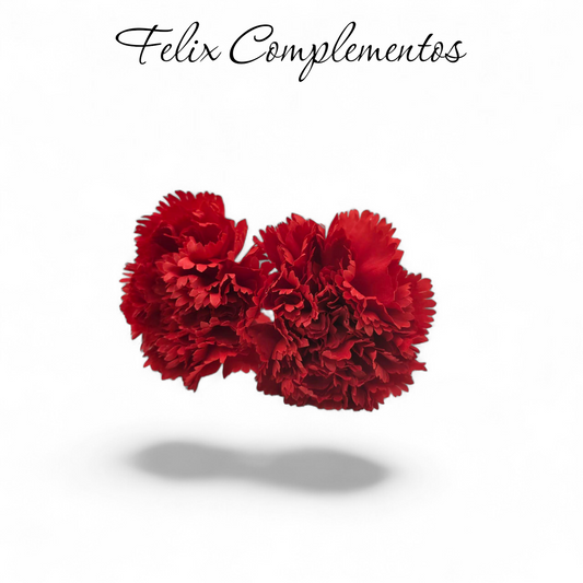 Ramillete rojo 2 claveles
