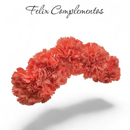 Ramillete coral 5 claveles