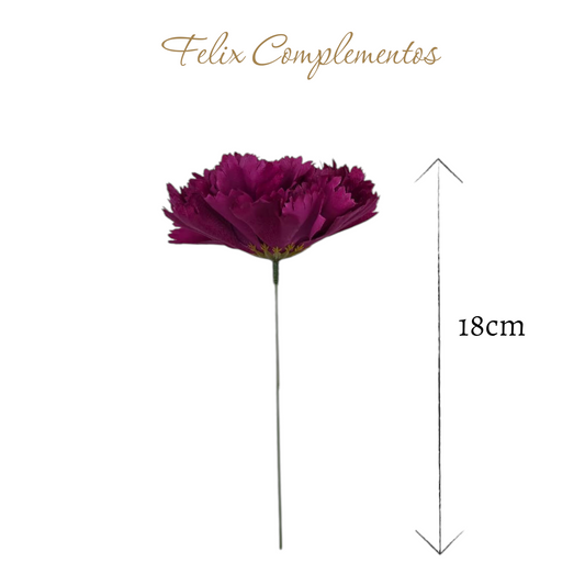Clavel Morado orquidea
