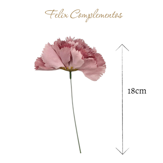Clavel Rosa