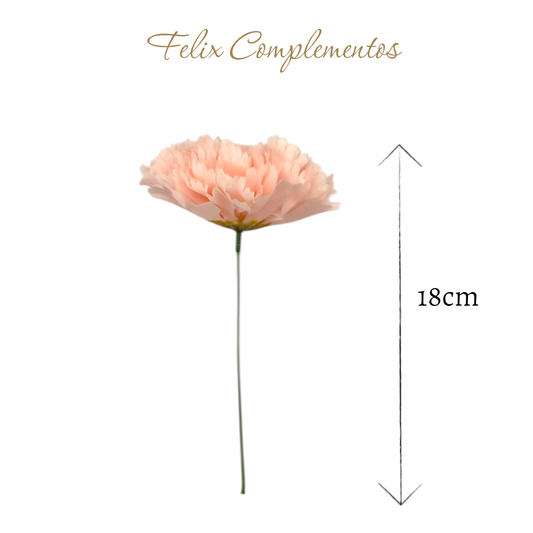 Clavel Rosa empolvado