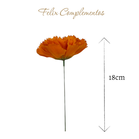 Clavel Naranja