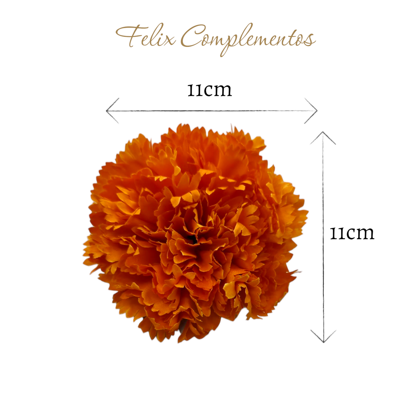 Clavel Naranja
