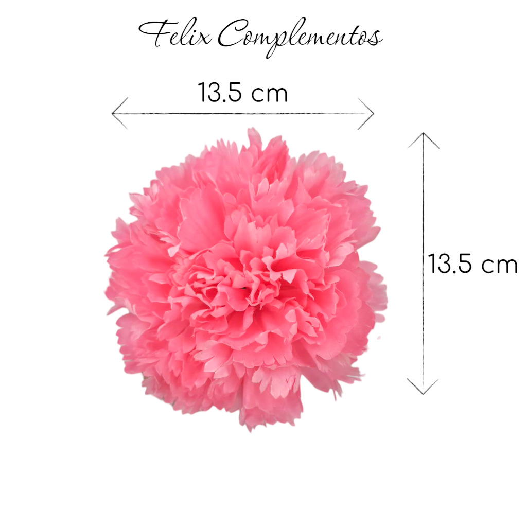 Clavel Rosa Flamenco (M)