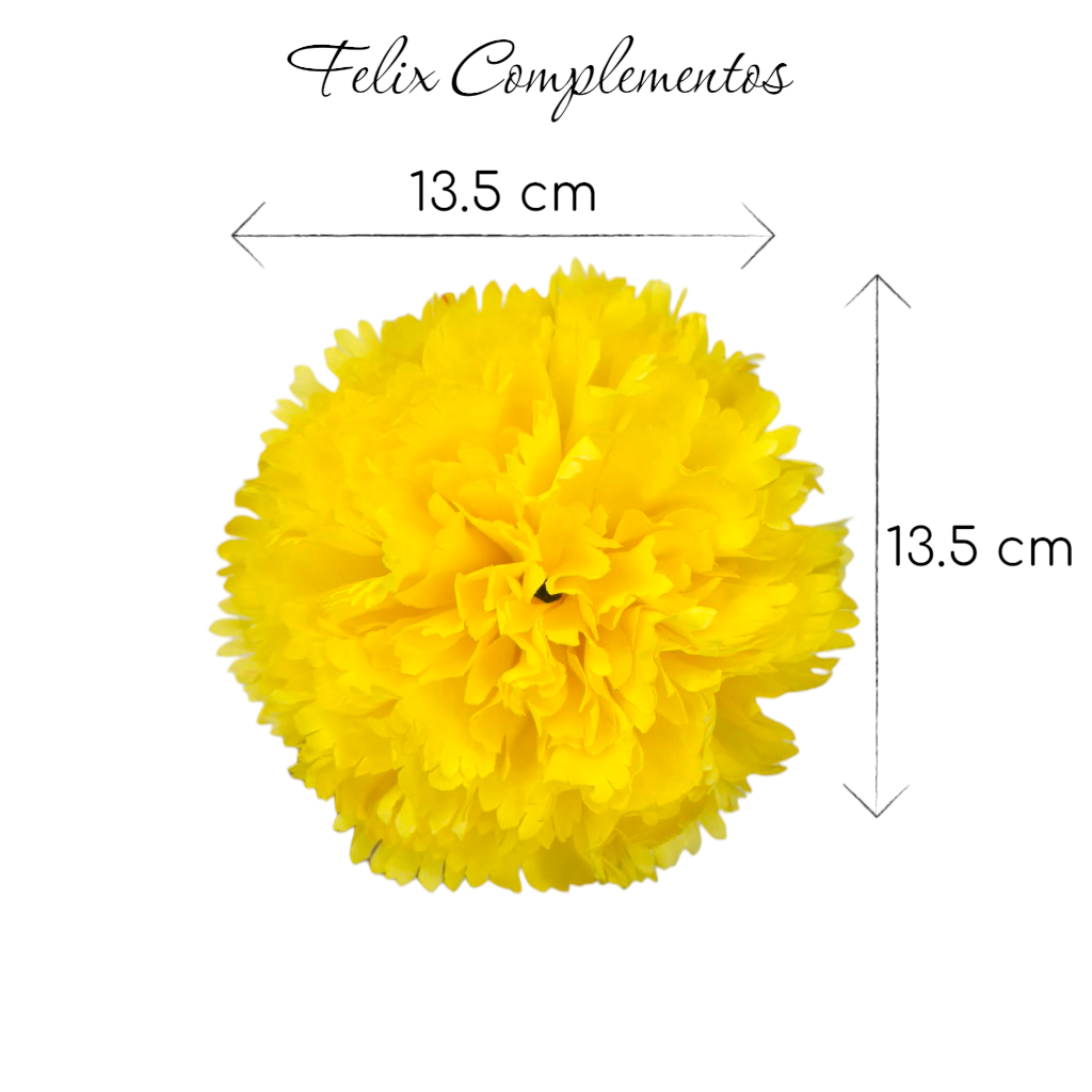 Clavel Amarillo (M)