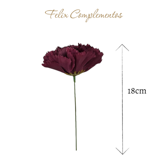 Clavel Morado ciruela