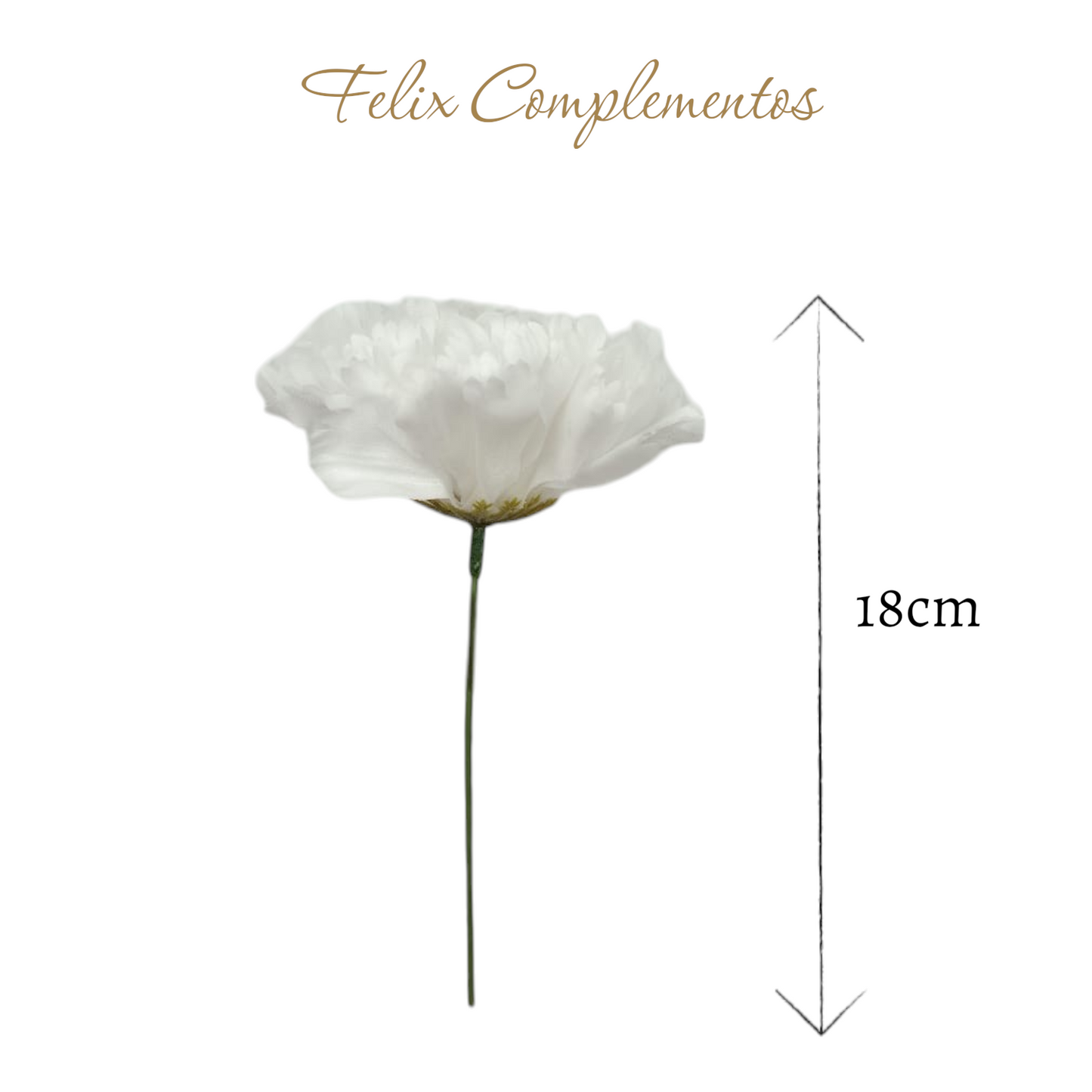 Clavel Blanco