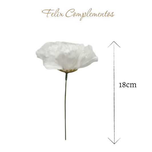 Clavel Blanco