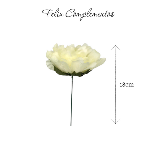 Peonia blanco hueso