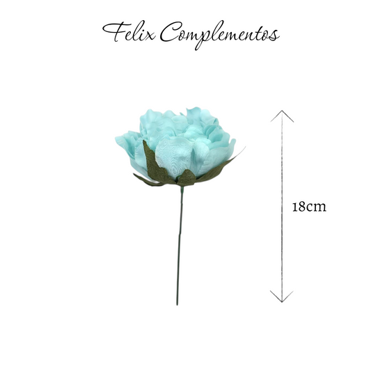 Peonia celeste