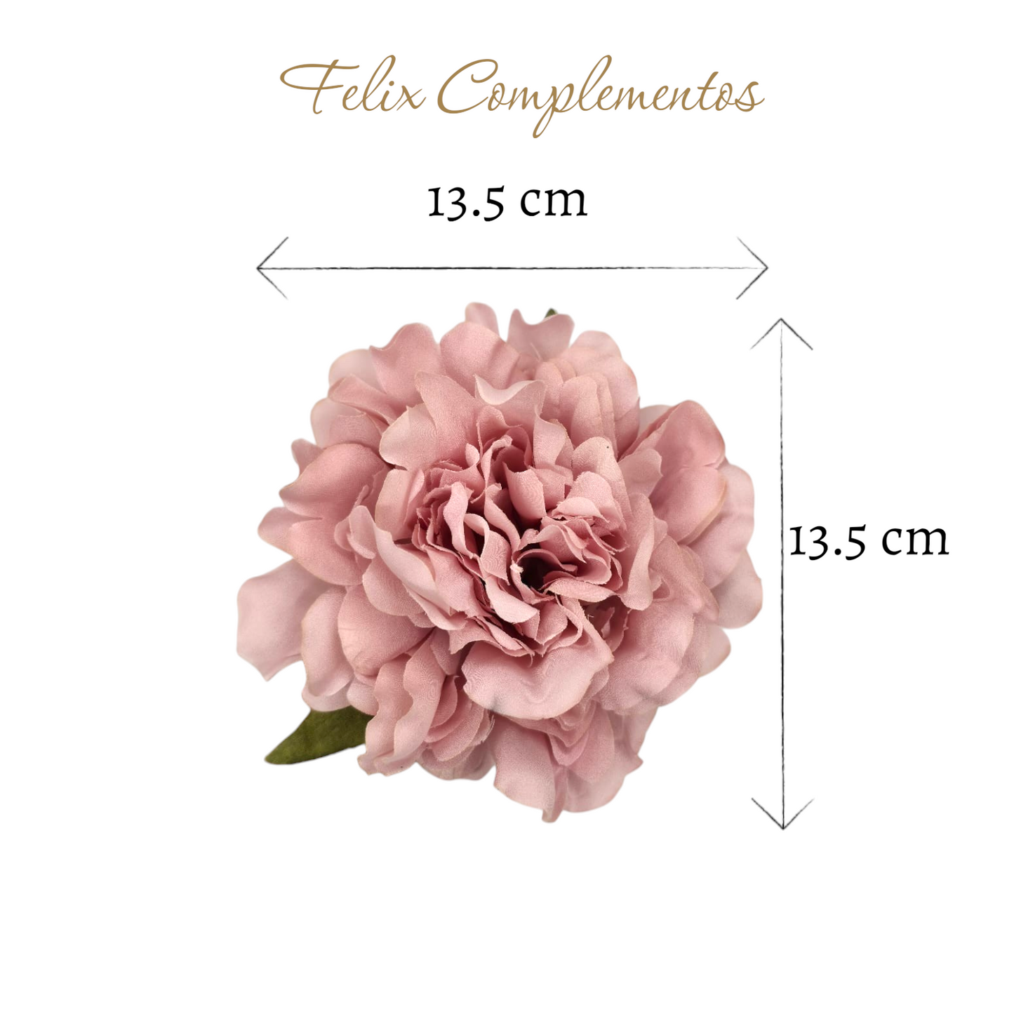 Peonia rosa crepe