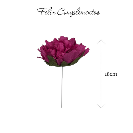 Peonia magenta