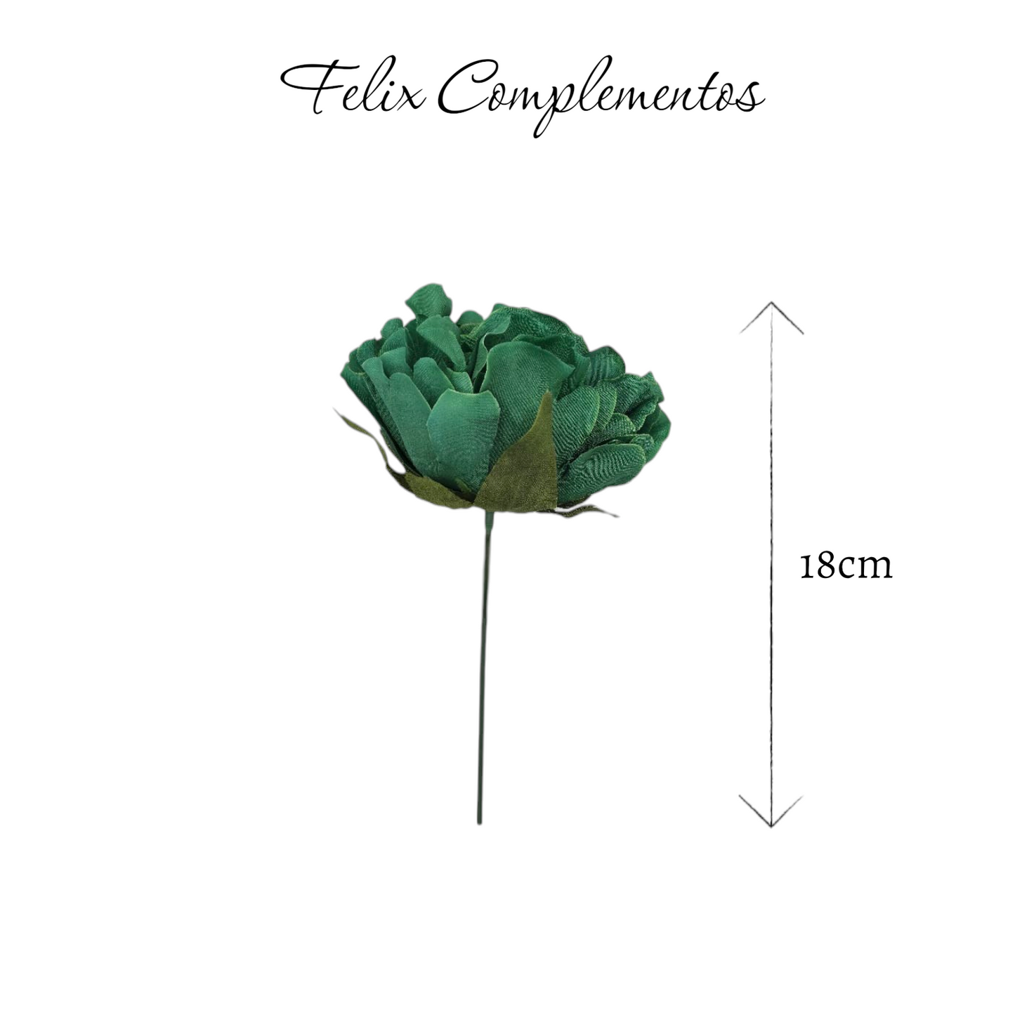 Peonia verde pino