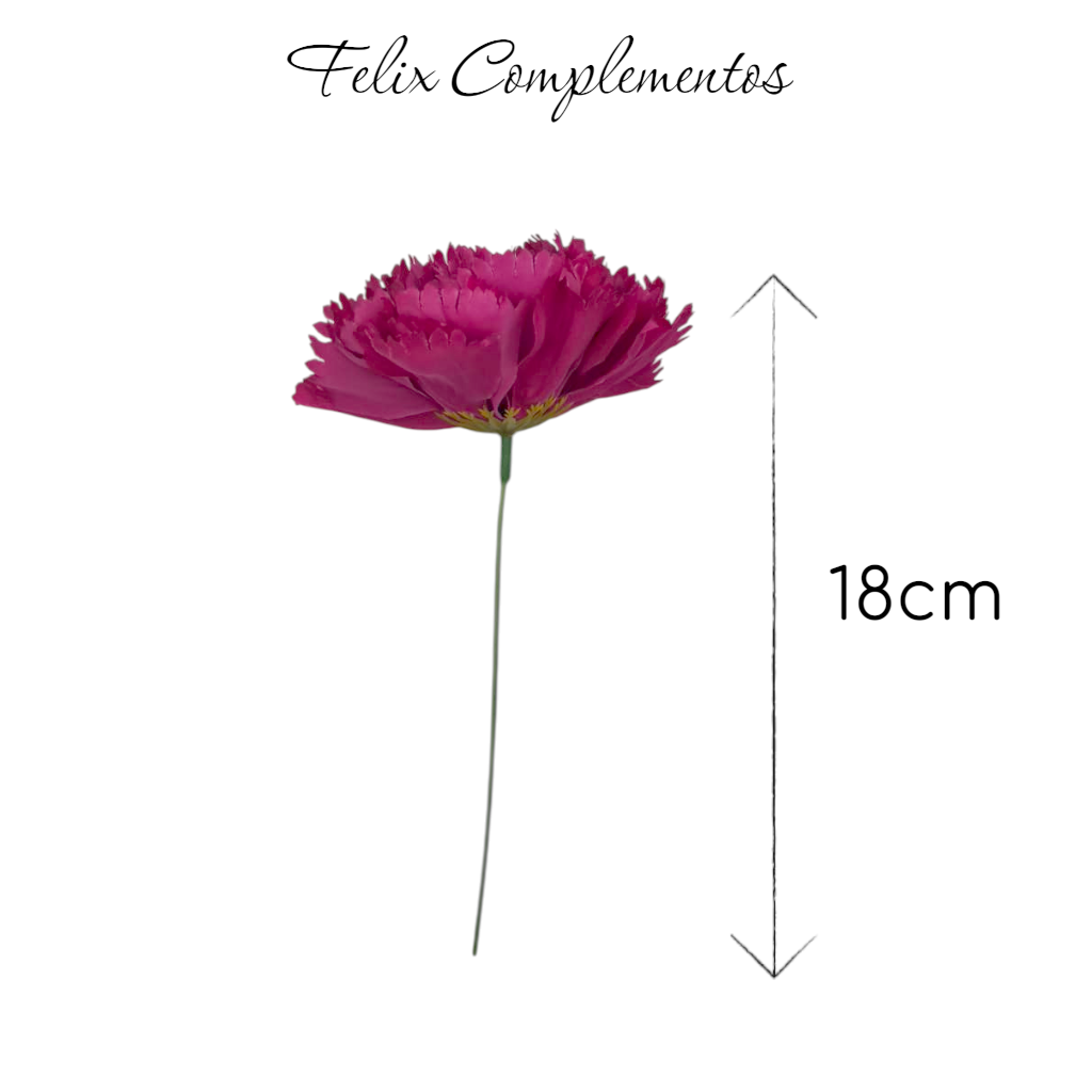 Clavel buganvilla (M)