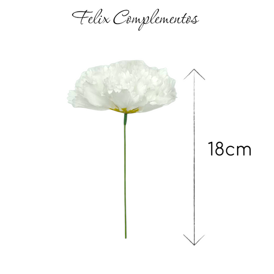 Clavel Blanco (M)