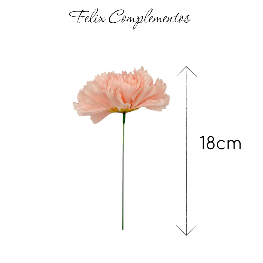 Clavel Rosa Empolvado (M)