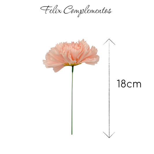 Clavel Rosa Empolvado (M)