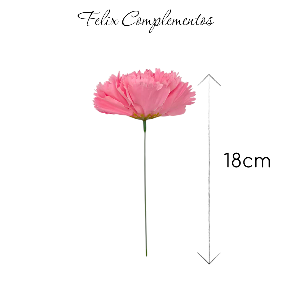 Clavel Rosa Flamenco (M)