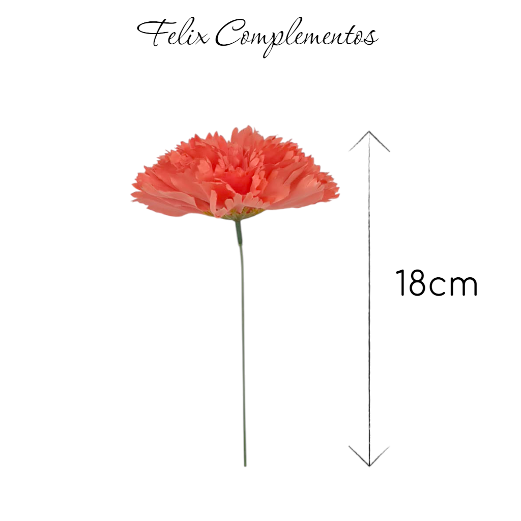 Clavel Salmon / Coral (M)