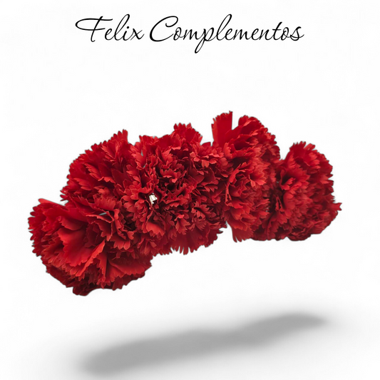 Ramillete rojo 5 claveles