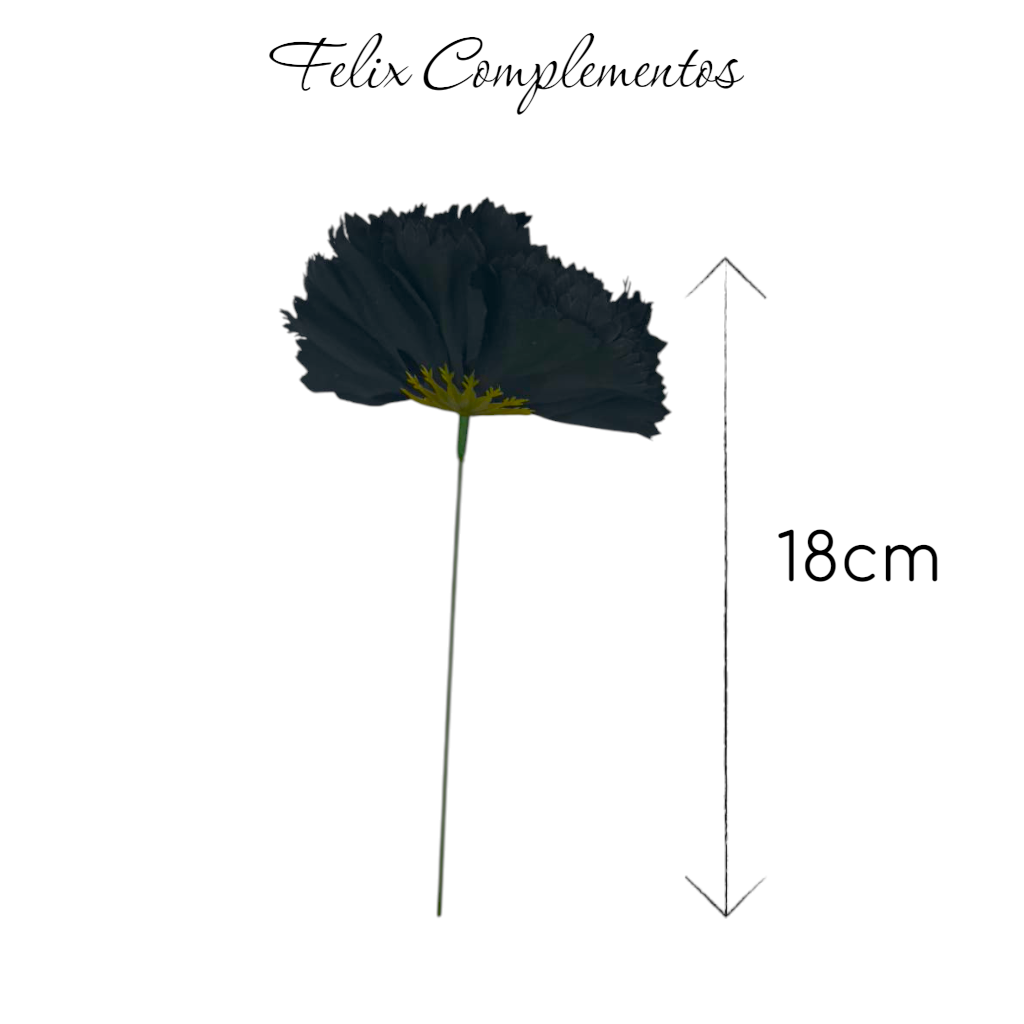 Clavel Negro (M)