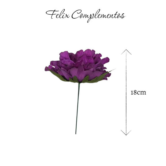 Peonia morado