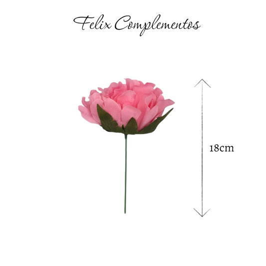 Peonia rosa chicle