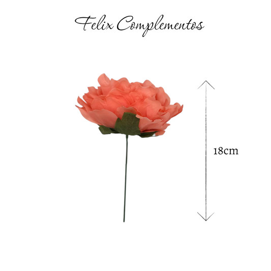 Peonia coral o salmon