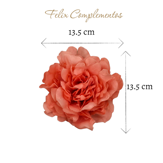 Coral or salmon peony